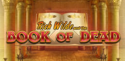 Book of Dead slot logo